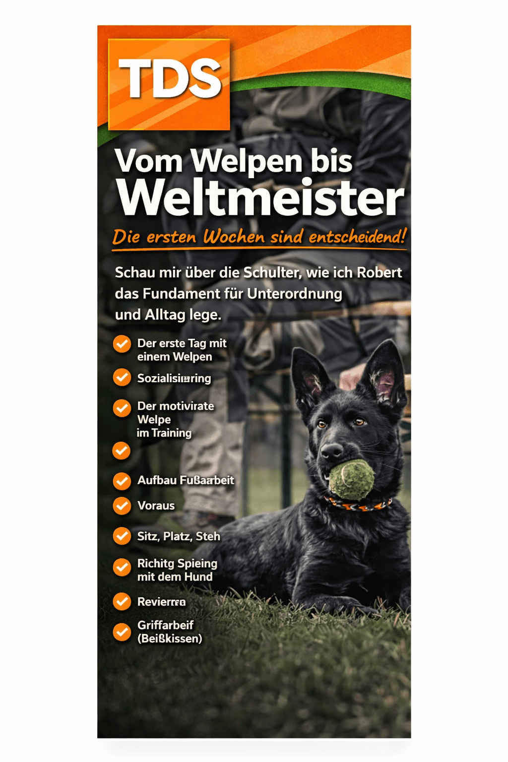 Hundetraining vom Welpen bis zum Profi Mobilversion