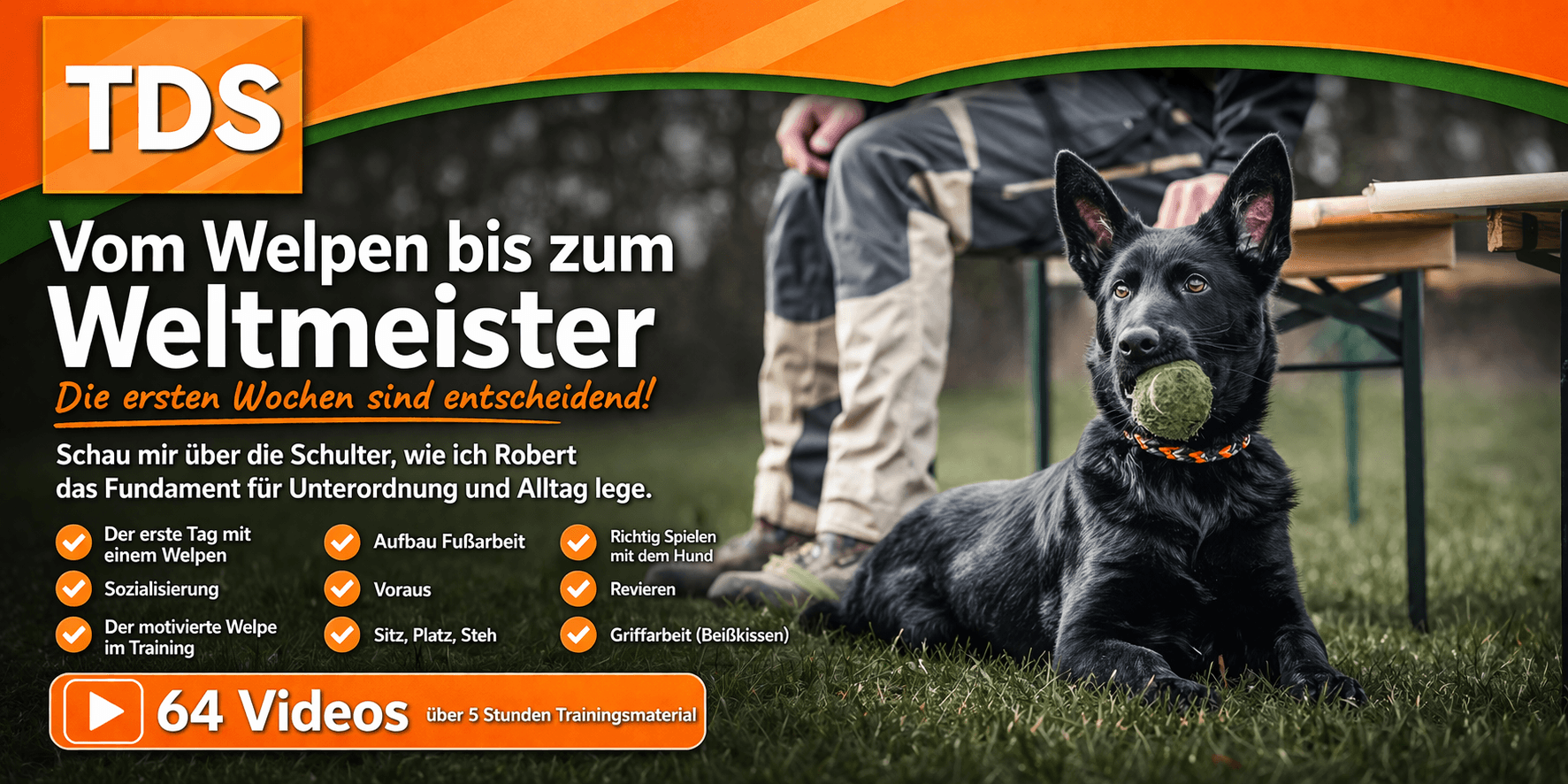 Vom Welpen zum Weltmeister Training Webversion